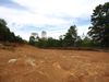 3225 Hwy 68 photo